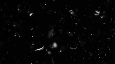 Farklı etkinlikler ve projeler için Tüyler (tüy) Düşen Arkaplan! Kuşlar.