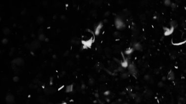 Farklı etkinlikler ve projeler için Tüyler (tüy) Düşen Arkaplan! Kuşlar.