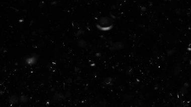 Farklı etkinlikler ve projeler için Tüyler (tüy) Düşen Arkaplan! Kuşlar.