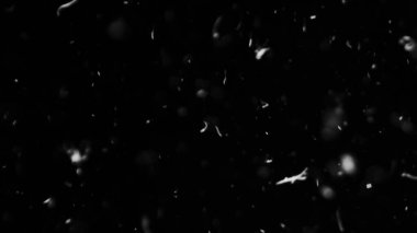 Farklı etkinlikler ve projeler için Tüyler (tüy) Düşen Arkaplan! Kuşlar.