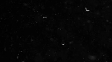 Doğal Toz Organik Yüzen Parçacıklar. Projeleriniz için hava atmosferinde toz.! 