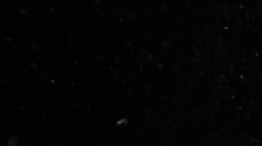 Doğal Toz Organik Yüzen Parçacıklar. Projeleriniz için hava atmosferinde toz.! 