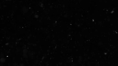 Doğal Toz Organik Yüzen Parçacıklar. Projeleriniz için hava atmosferinde toz.! 