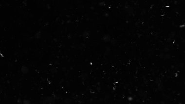 Doğal Toz Organik Yüzen Parçacıklar. Projeleriniz için hava atmosferinde toz.! 