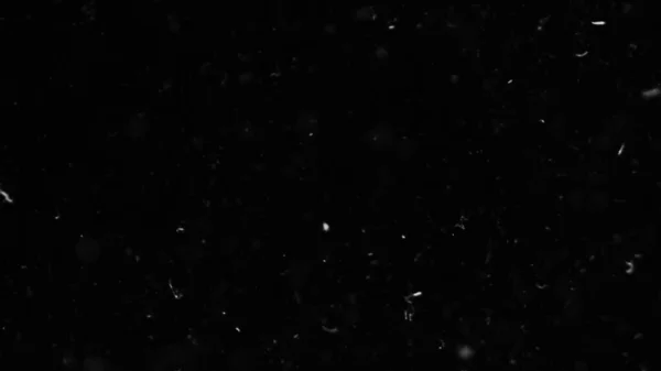 Doğal Toz Organik Yüzen Parçacıklar. Projeleriniz için hava atmosferinde toz.! 