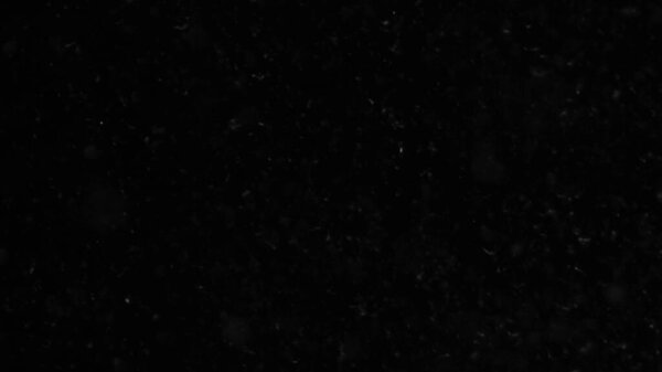 Органические плавающие частицы природной пыли. Пыль в атмосфере воздуха для ваших проектов
! 