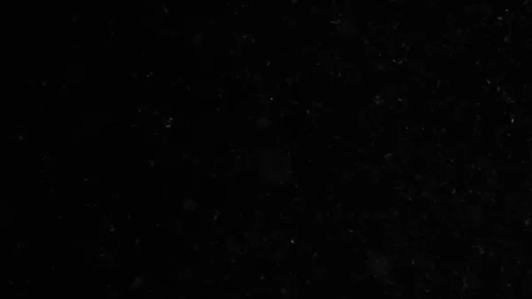 Doğal Toz Organik Yüzen Parçacıklar. Projeleriniz için hava atmosferinde toz.! 