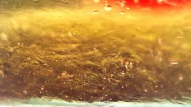 Jel akışkan su Macro 'yu batırır. Temiz bal, zarif akış arkaplanı. Yakın plan sabun dezenfeksiyonu. Jöle Sahnesi. Kızıl Ejder kamerasında çekim yap (yavaş çekim yüksek kalite).