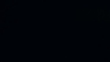 Bonfire kıvılcımlarının makro görüntüleri. Ateş patlar, ateş patlar. Patlama mikro parlaklığı. Mini Havai fişekler. Kırmızı kamerada çekim, siyah arka planda yavaş çekim. Güzel sızıntılar kıvılcım saçar.