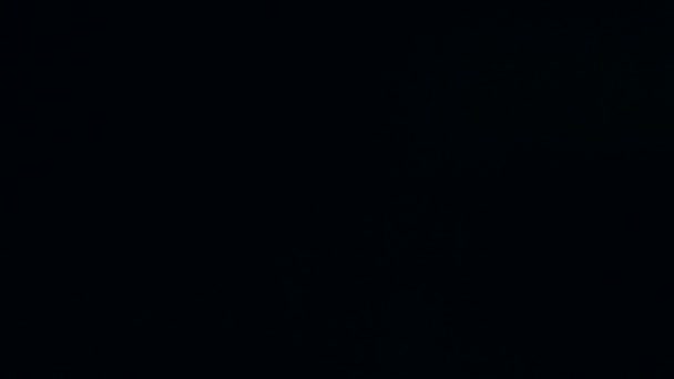 Макрознімок Іскри Бонфайр Пожежа Полум Спалахує Вибухає Вогонь Вибухові Мікро — стокове відео