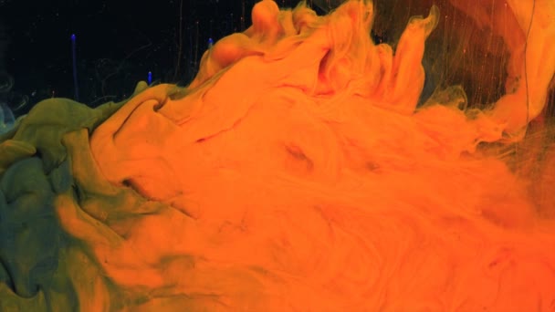 Makro Pęd Kolorowego Atramentu Wodzie Moc Magia Multi Kolor Atramentu — Wideo stockowe