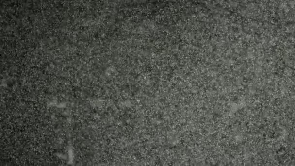 Tournage macro de bulles sous-marines séquences bokeh. Fond de surface d'eau. Des images sous-marines pour toile de fond. Élégante et détaillée poussière flottant. Bulles d'eau. Tourné sur caméra rouge au ralenti .