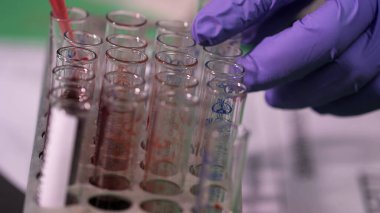 close-up of Covid Test blood samples in test tubes