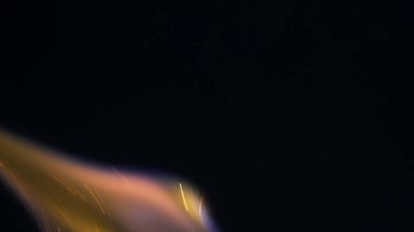 Şenlik ateşi kıvılcımlarının Macro fotoğrafı. Alevler patlar, patlamalar. Patlama mikro parlaklığı. Mini Havai fişekler. Kırmızı kamerada çekim hala siyah arkaplanda. Kıvılcım posteri, afiş, duvar kağıdı, doku.