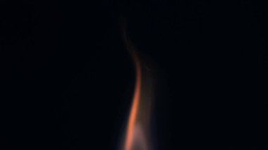 Şenlik ateşi kıvılcımlarının Macro fotoğrafı. Alevler patlar, patlamalar. Patlama mikro parlaklığı. Mini Havai fişekler. Kırmızı kamerada çekim hala siyah arkaplanda. Kıvılcım posteri, afiş, duvar kağıdı, doku.