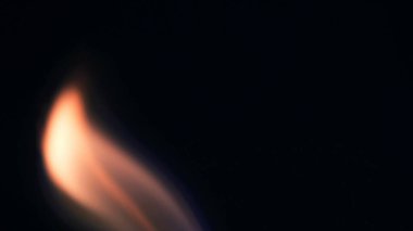 Şenlik ateşi kıvılcımlarının Macro fotoğrafı. Alevler patlar, patlamalar. Patlama mikro parlaklığı. Mini Havai fişekler. Kırmızı kamerada çekim hala siyah arkaplanda. Güzel sızıntılar kıvılcım posteri, afiş, duvar kağıdı, arkaplan, doku.