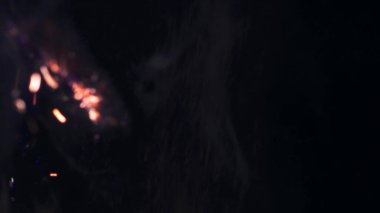 Şenlik ateşi kıvılcımlarının Macro fotoğrafı. Alevler patlar, patlamalar. Patlama mikro parlaklığı. Mini Havai fişekler. Kırmızı kamerada çekim hala siyah arkaplanda. Güzel sızıntılar kıvılcım posteri, afiş, duvar kağıdı, arkaplan, doku.