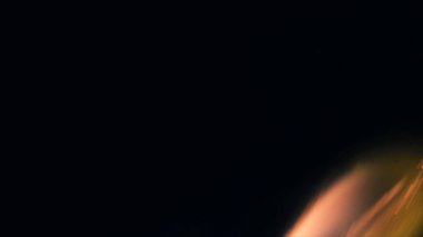 Şenlik ateşi kıvılcımlarının Macro fotoğrafı. Alevler patlar, patlamalar. Patlama mikro parlaklığı. Mini Havai fişekler. Kırmızı kamerada çekim hala siyah arkaplanda. Güzel sızıntılar kıvılcım posteri, afiş, duvar kağıdı, arkaplan, doku.