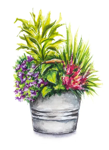 Hand Drawn Bunch Plants Metal Bucket Isolated White Watercolor Illustration — Stock Photo, Image