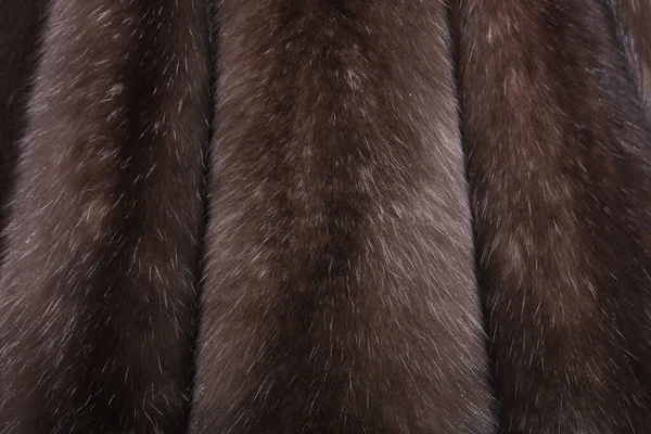 Skins Natural Fur Sable — Stock Photo, Image