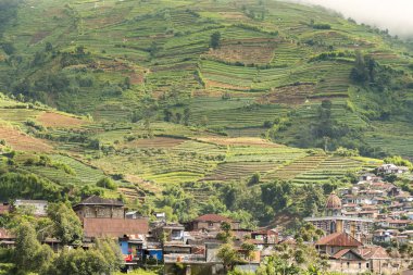 Kurak dağ yamaçları Dieng plateu, Java, Endonezya çevresinde