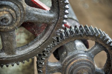 İki de yağlı cogwheels