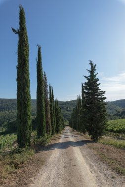 Güzel Toscana İtalya.