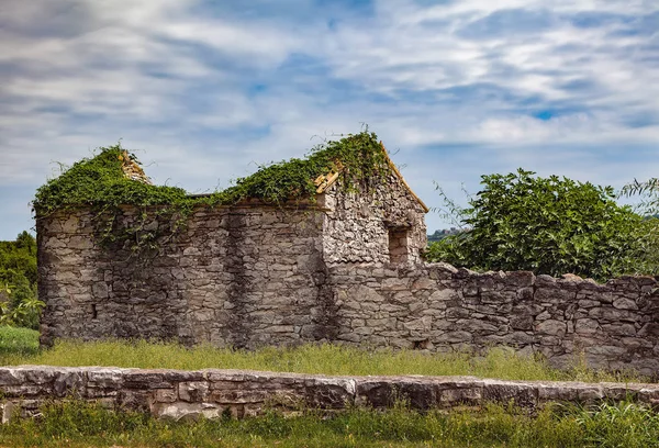 Buje. Szlovénia. Europa. — Stock Fotó