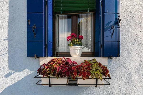 Типове вікно в Бурано (Італія). — стокове фото
