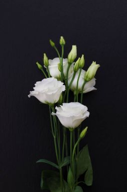 Siyah taş zemin üzerine beyaz Eustoma çiçek