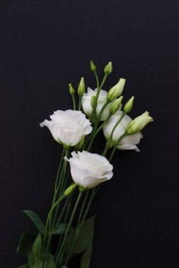 Siyah taş zemin üzerine beyaz Eustoma çiçek