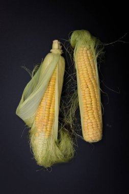 Gerçek hasat organik mısır kabuğu siyah arka plan üzerine içinde