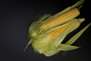 Gerçek hasat organik mısır kabuğu siyah arka plan üzerine içinde
