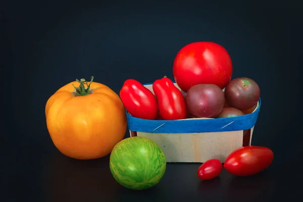 Assortimento di pomodori biologici colorati vegetali su sfondo nero — Foto Stock