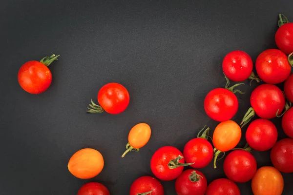 在黑色背景上的花园里的新鲜有机西红柿 — 图库照片
