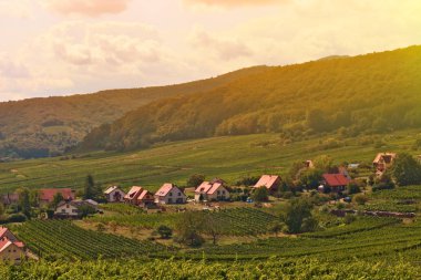 Romantik Europe ile küçük bir köy bağ Köyü yaz aylarında atmosfer peyzaj
