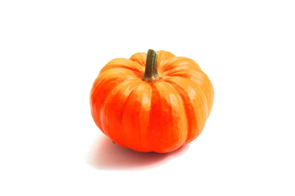 Single fresh Pumpkin isolate on white — Stock Photo, Image