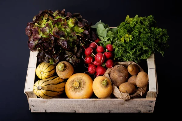 Conceito de comida orgânica variedade de legumes em batatas caixa de madeira, Delicata Squash, nabo amarelo, rabanete, salada vermelha, salsa sobre fundo preto — Fotografia de Stock