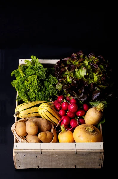 Conceito de comida orgânica variedade de legumes em batatas caixa de madeira, Delicata Squash, nabo amarelo, rabanete, salada vermelha, salsa em fundo preto com espaço de cópia — Fotografia de Stock