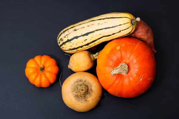 Őszi élelmiszer koncepció választék biozöldségek sütőtök, édesburgonya, Delicata Squash, fehérrépa, fekete háttér sárga — Stock Fotó