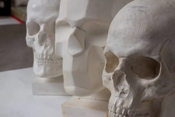 three plaster skulls on a white background. artist\'s studio