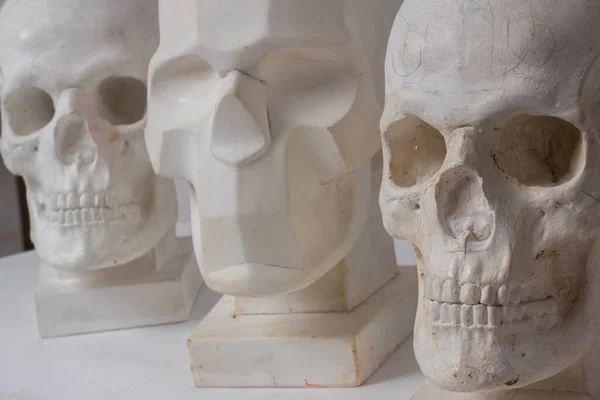 three plaster skulls on a white background. artist\'s studio
