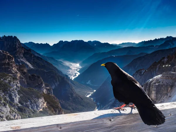 Dolomiti Panorama Delle Alpi Italiane — Foto Stock