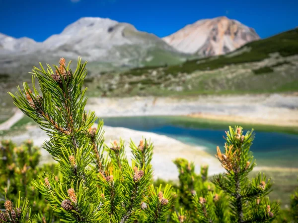 Italienska Alperna landskap — Stockfoto