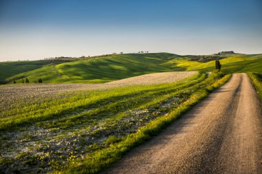 Tuscany Hills 'te günbatımının güzel manzarası.