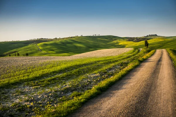 Prachtig Panorama Van Zonsondergang Toscaanse Heuvels — Stockfoto