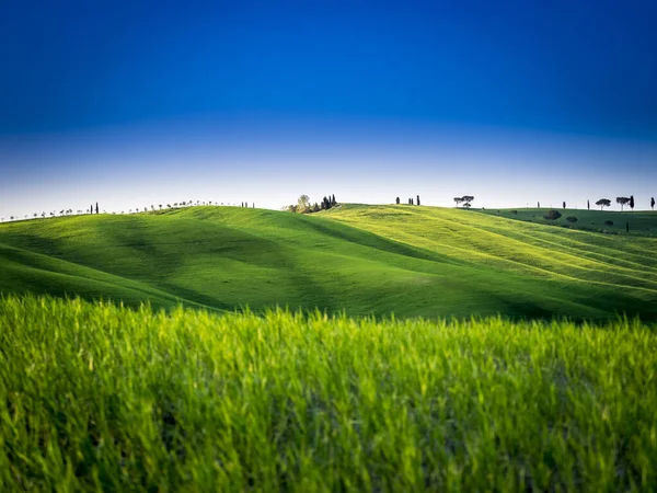 Belo Panorama Pôr Sol Nas Colinas Toscana — Fotografia de Stock