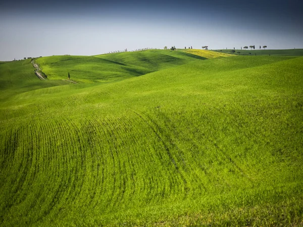 Hermoso Panorama Puesta Sol Las Colinas Toscana — Foto de Stock