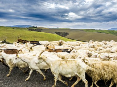 Tuscany Hills 'te günbatımının güzel manzarası.