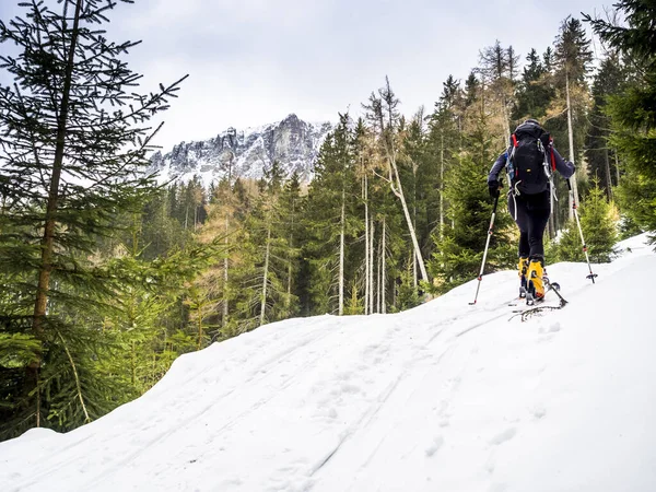 Giovani Sciatori Salgono Cima Alla Montagna — Foto Stock